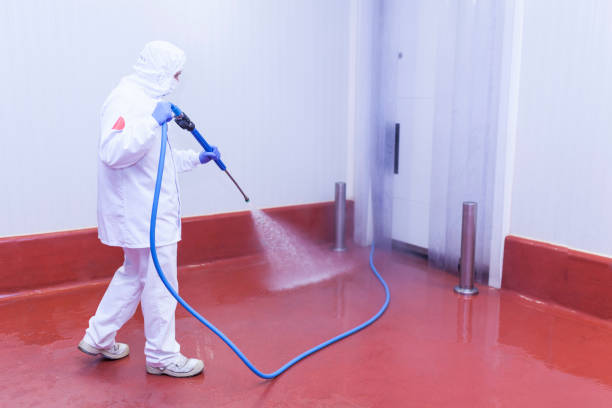 Trusted Northfield, IL Pressure Washing Services Experts